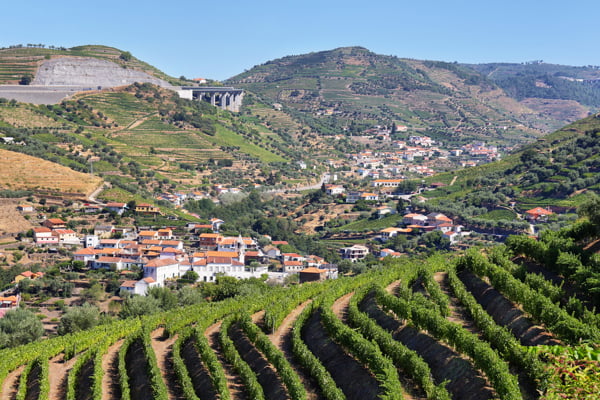 Impresionantes vistas de los viñedos del Duero desde Presegueda, en Portugal