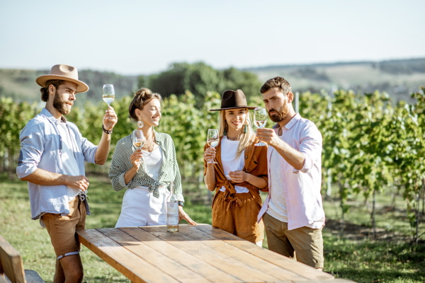 Cata de vinos en Santo Winery