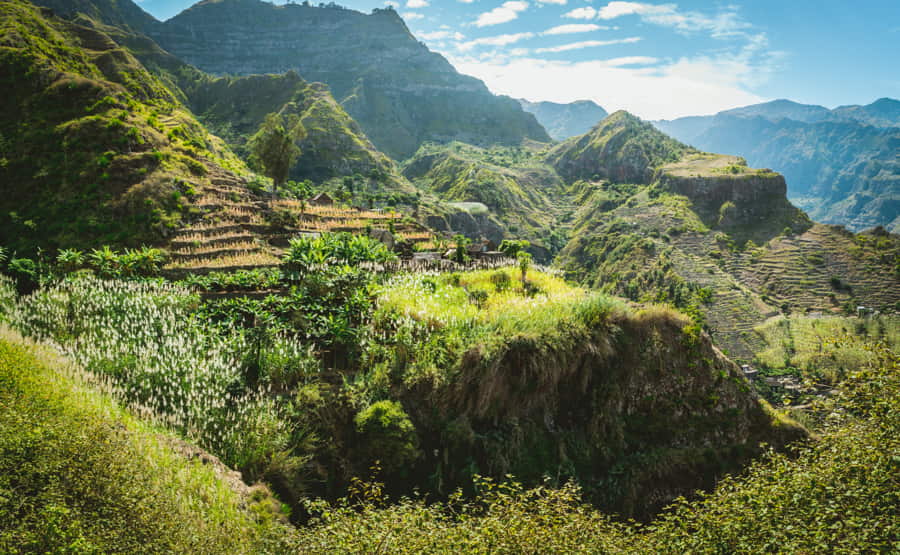Pintorescas plantaciones de plátano y caña de azúcar en la ruta de senderismo a Coculli Santo Antao Cabo Verde
