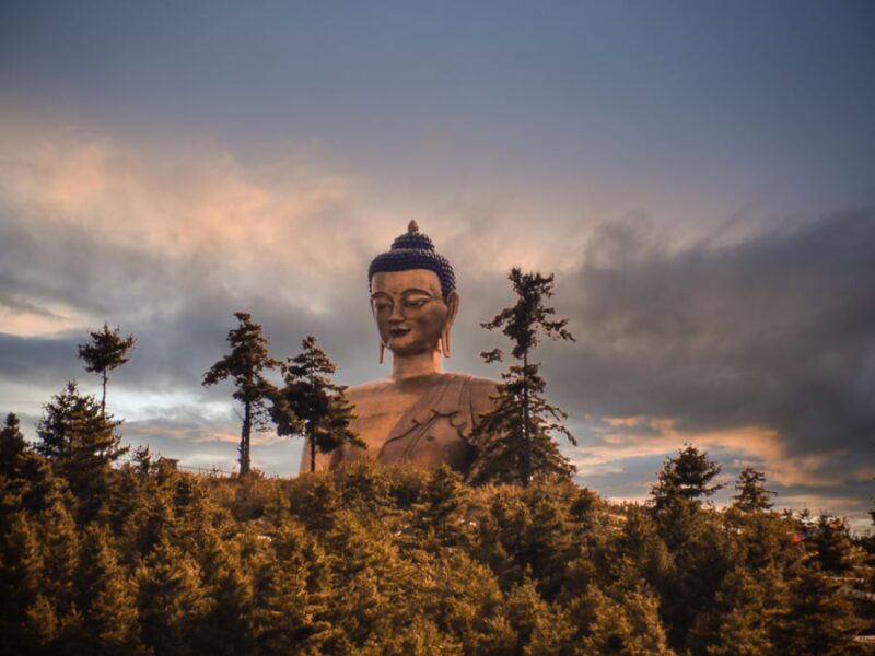 La estatua dorada de Buda se alza sobre una colina de árboles.