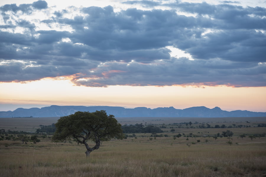 Puesta de sol en el Parque Nacional de Isalo, región de Ihorombe, suroeste de Madagascar