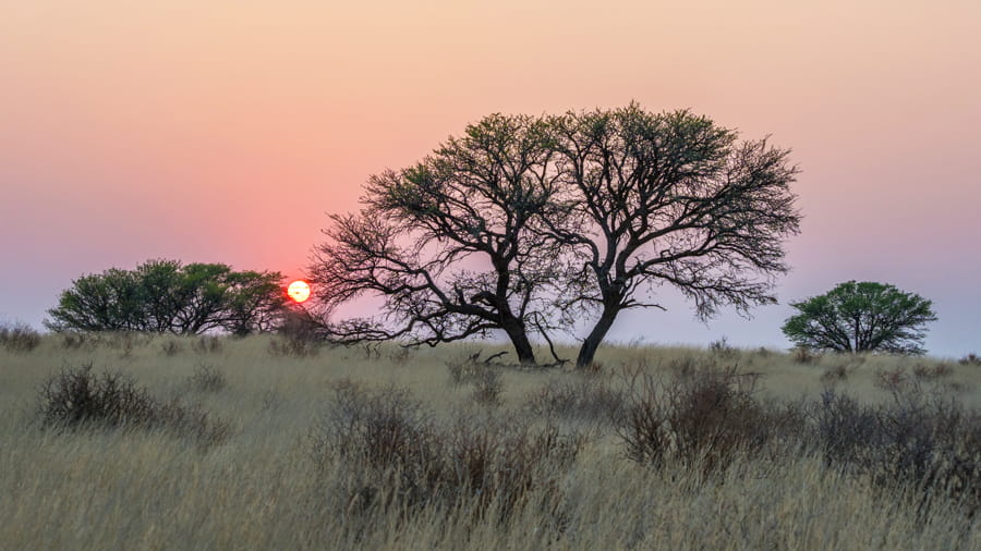 Amanecer en el Kalahari