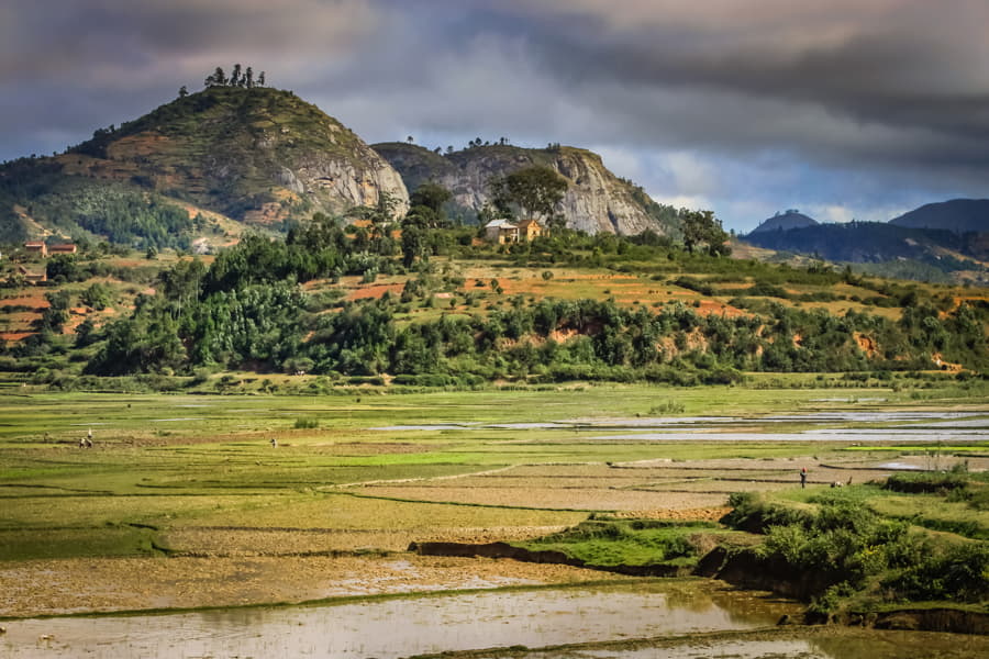 Campos de arroz de Madagascar