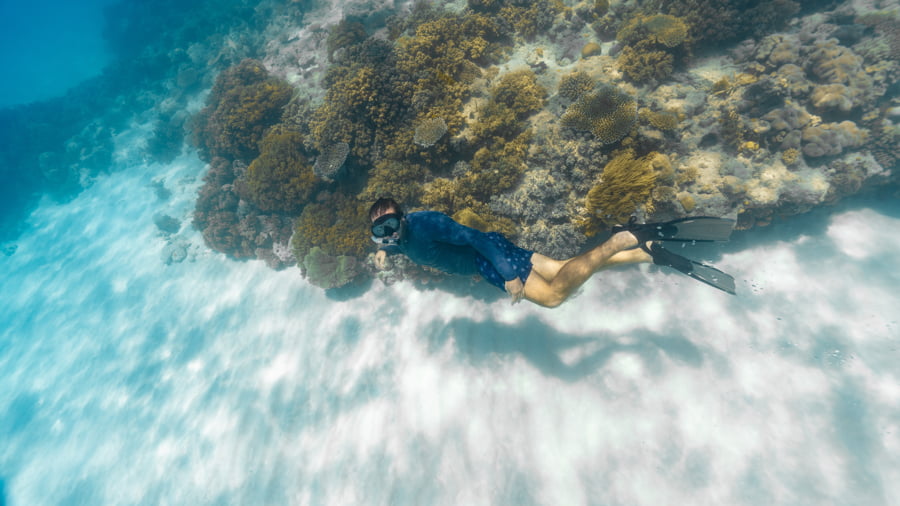 Un joven practica apnea en la Gran Barrera de Coral